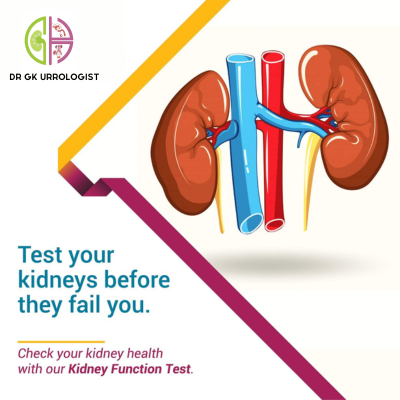 Understanding Kidney Function Tests: Your Key to Kidney Health